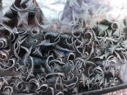 Windshield Ice Photo: Renee Ferland