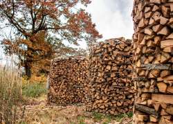 Wood pile Photo: Denise LaPerriere