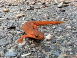 Eft Photo: Sheri Larsen