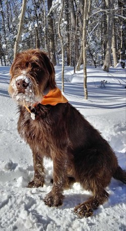 Cruiser in NH Photo: Todd Caron