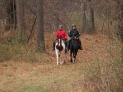 Horseback Riders Photo: Charlie Schwarz