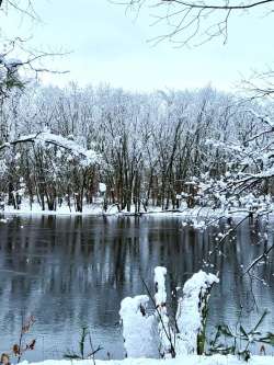 Merrimack river Photo: Stephen Fox