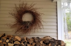 Robins Nest Photo: Edward Baum