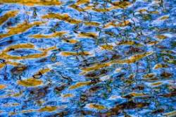 Water reflections Photo: John Snell