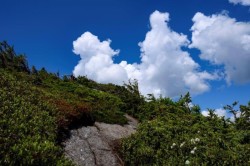 Wright Brook Trail Photo: Tony Marple