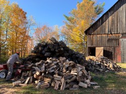 Winter Firewood Photo: AM Dannis