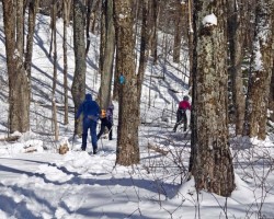 Backcountry skiing Photo: Sheri Larsen