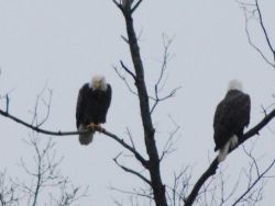 January 2016 Photo: Stephanie Mahoney