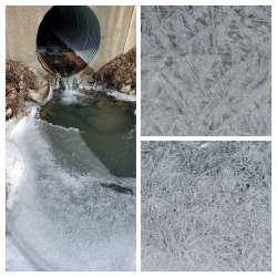 Ice crystals Photo: Wendy Johnson