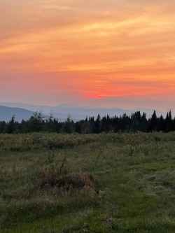 Willoughby sunset Photo: Tina Harris