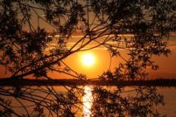 Stunning sunset Photo: Leif Tillotson