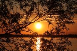 Stunning sunset Photo: Leif Tillotson