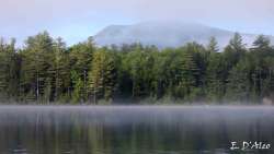 Fog Mountain Photo: Eric D'Aleo