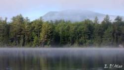 Fog Mountain Photo: Eric D'Aleo