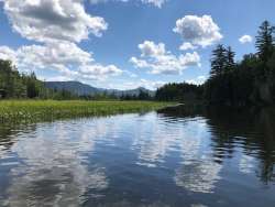 Saranac River Photo: Susan Johnson