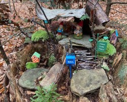 Fairy home Photo: Nancy Halloran