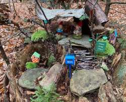 Fairy home Photo: Nancy Halloran