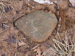 Growing stones Photo: Ross Lanius