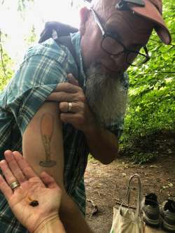 Mushroom tattoo Photo: Amy Palmer