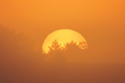 Sunrise Photo: Arthur Tenan