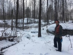 Forester Checks Work Photo: Alex Barrett
