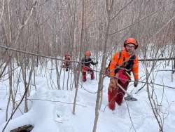 Foresters in the woods Photo: Alex Barrett