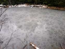 Frozen pond Photo: Lucas Harris