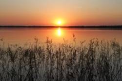 Lake scene Photo: Leif Tillotson