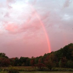 Rainbow Photo: Sally Cornwell