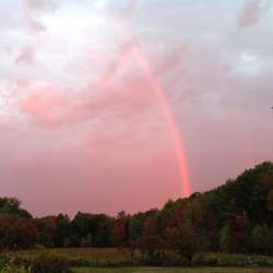 Rainbow Photo: Sally Cornwell