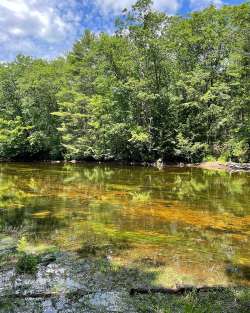 Ossippee river Photo: David Thompson