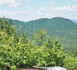 Border Photo: Barbara Mackay