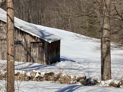 Winter house Photo: Jane Kolias