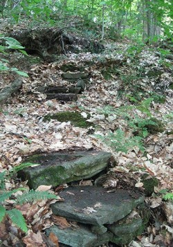 37w_stowe1_stone_steps.jpg