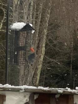 Flicker Photo: Alice McCormack