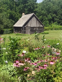 Log cabin Photo: Margie Manthey