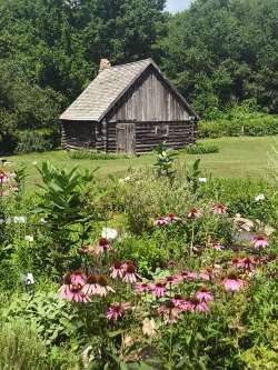 Log cabin Photo: Margie Manthey