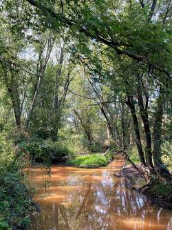 Floodplains Photo: Lee Toomey