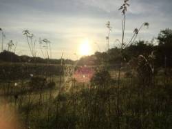 Arachnid artistry Photo: David Andler