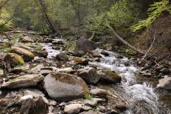 Bear River Photo: Geoffrey Bluh