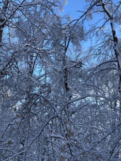 Blue Skies Photo: Rodney Johnson
