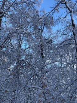 Blue Skies Photo: Rodney Johnson