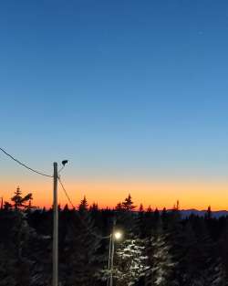 Night skiing Photo: Laura Pratt