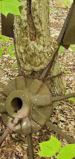 Rusty waterwheel Photo: Susan Lichty