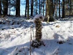 Snow Sculpture Photo: Nate Rosebrooks