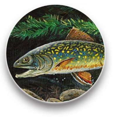 Brook trout