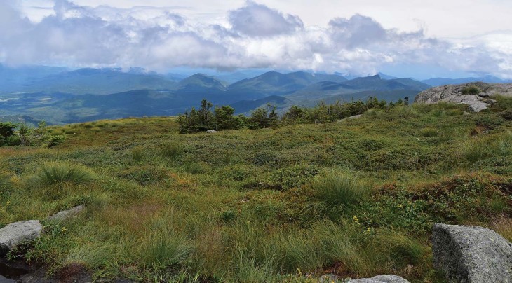 Protecting Alpine Habitats