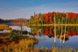 Autumn colors Photo: Tom Grett