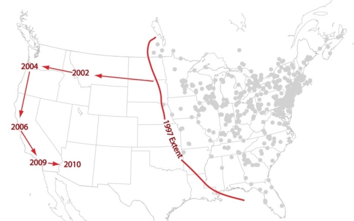 New Insights on the Spread of an Avian Eye Disease