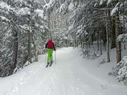 Backcountry skiing Photo: Sheri Larsen